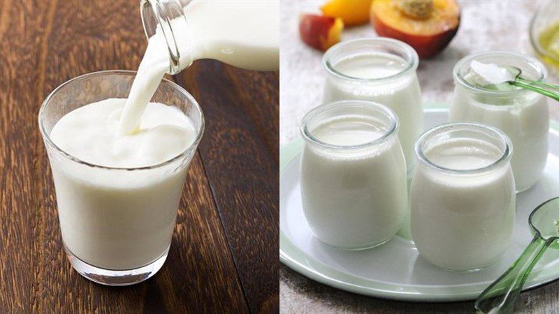 Ingredients for the dish yogurt made from fresh milk