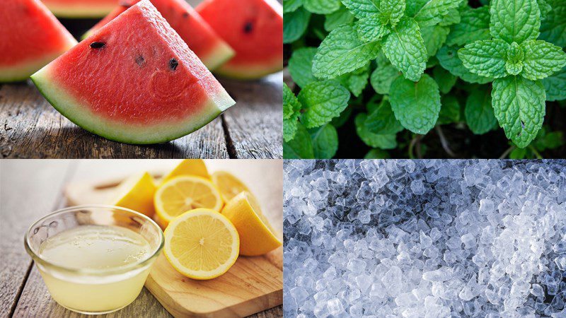 Ingredients for watermelon juice using a blender