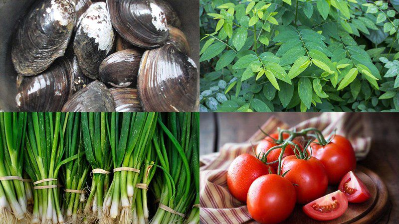 Ingredients for clam soup with spinach