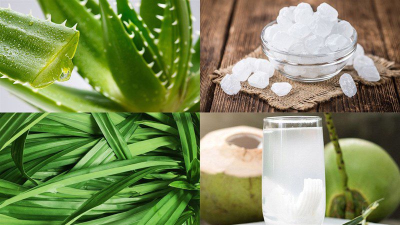 Ingredients for aloe vera coconut water dish