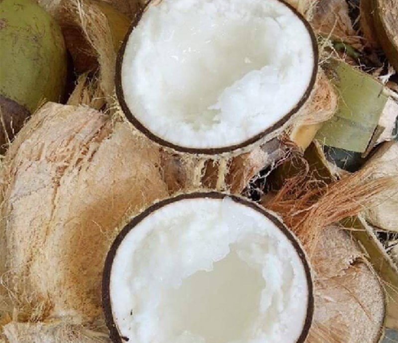 Why is wax coconut expensive?