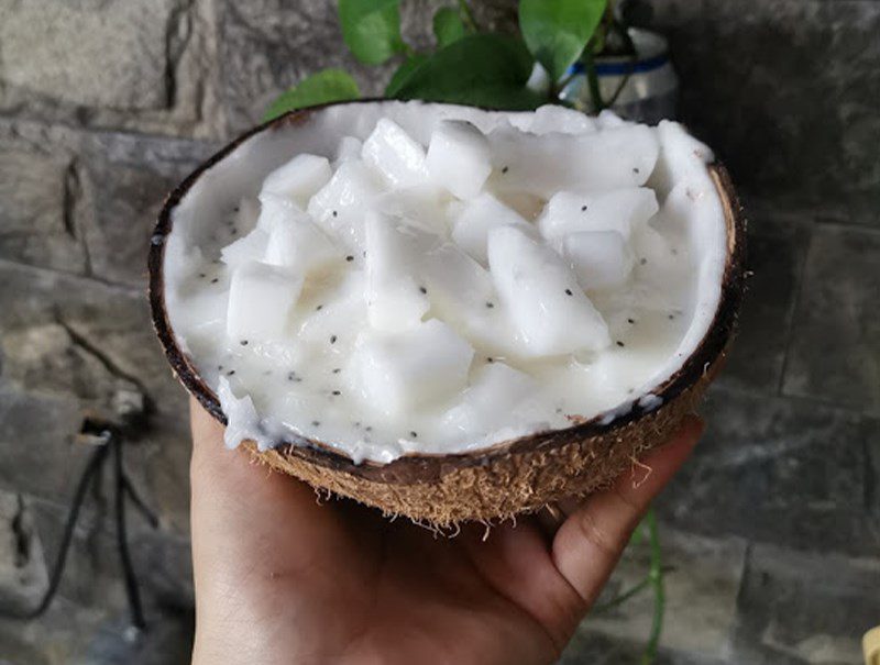 Coconut ice cream