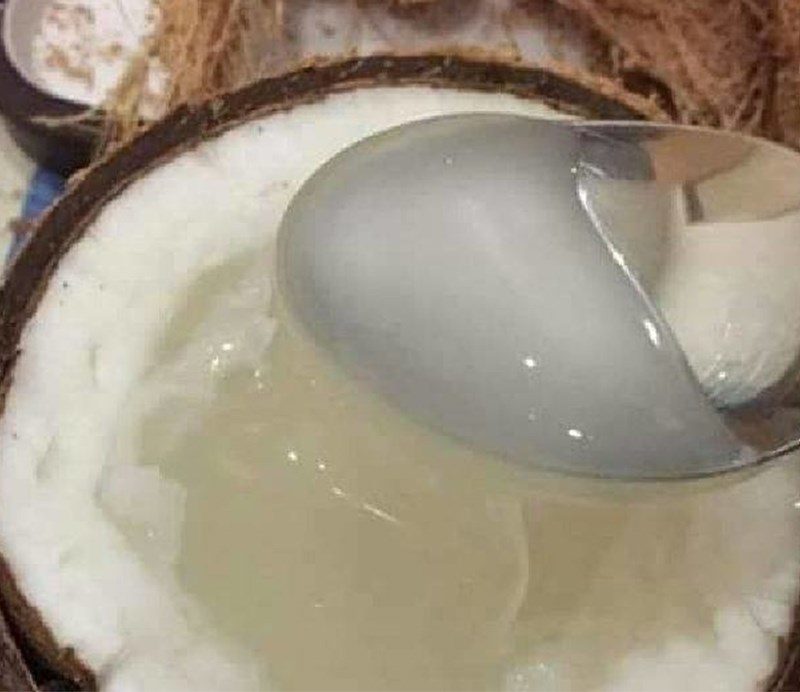 Coconut eaten directly