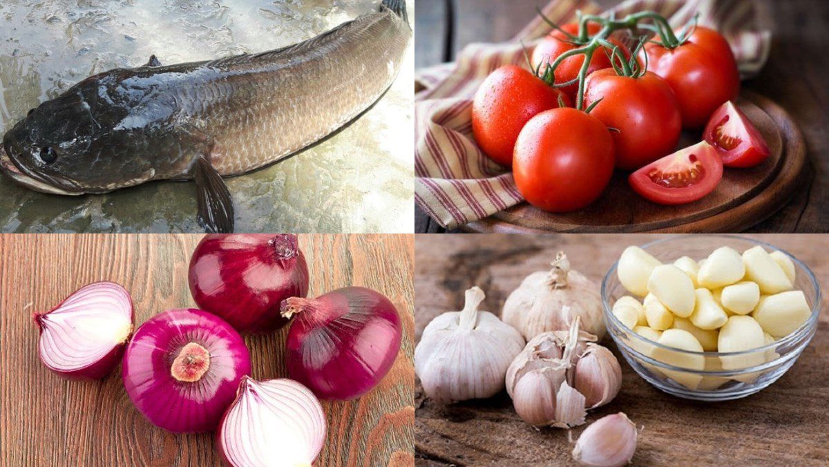 Ingredients for braised snakehead fish with tomatoes