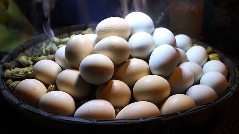 How to preserve live fertilized duck eggs