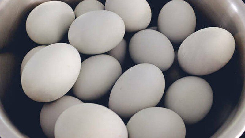 Can you eat balut eggs boiled overnight?