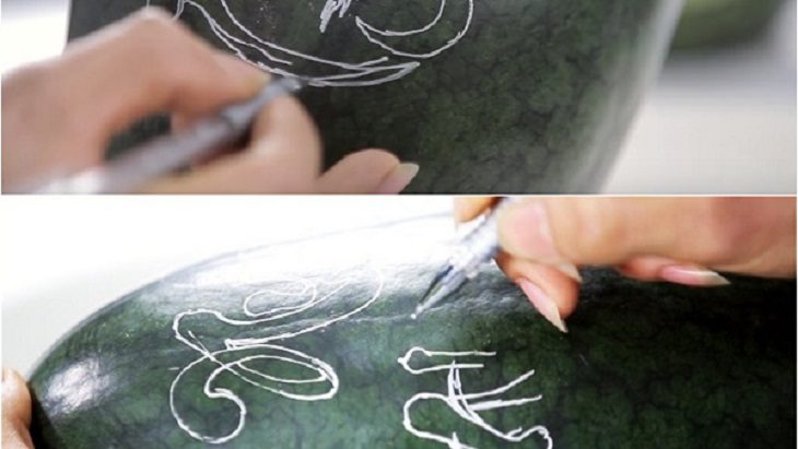 Sketching a drawing on watermelon