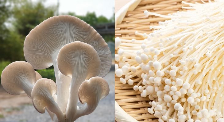 Ingredients for vegetarian chả chén