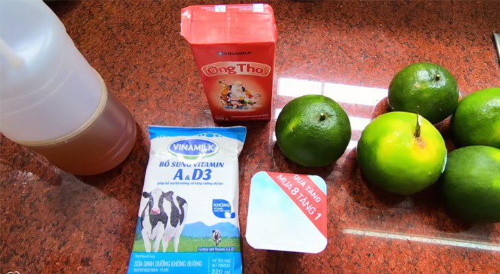 Ingredients for yogurt orange ice cream