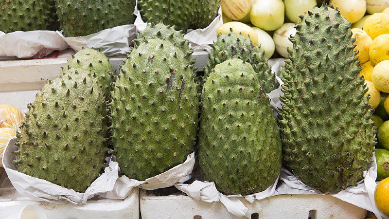 Use your hand to touch the custard apple to choose good fruit