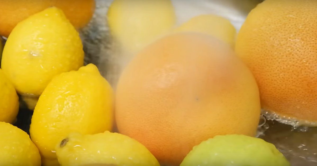 Step 1 Wash the fruit Dried fruit using an air fryer