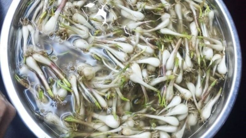 Soak the scallions in diluted salt water and a little alum