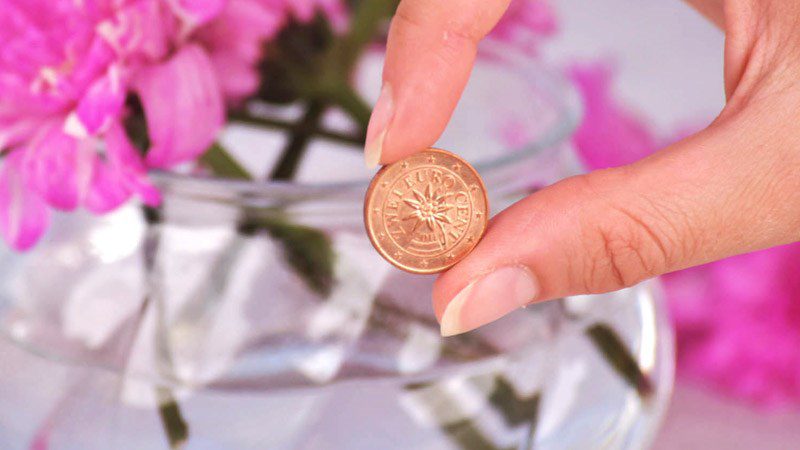 Nourishing flowers with coins