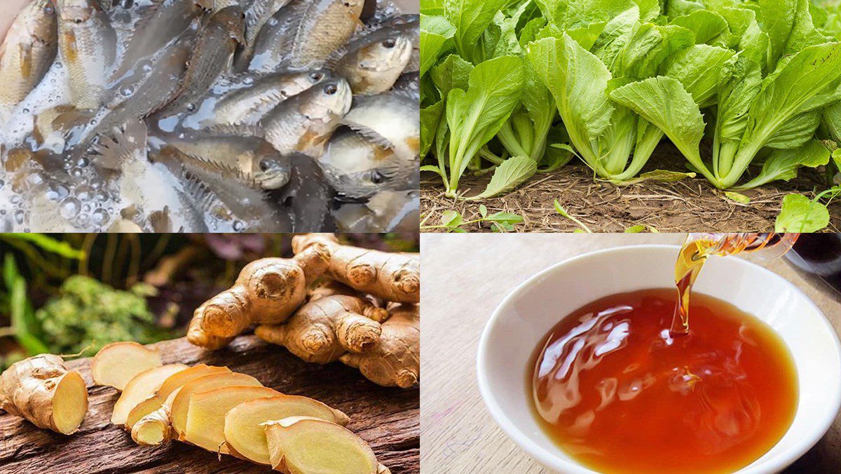 Ingredients for the dish of snakehead fish soup with mustard greens, water spinach, and lotus flowers