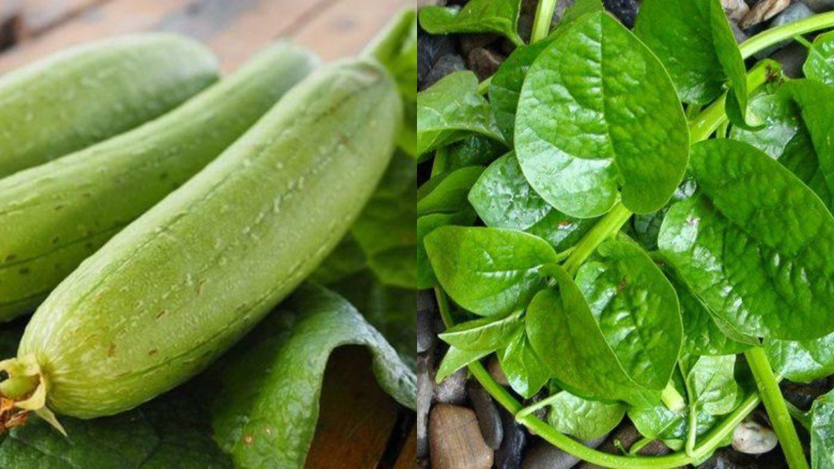 Ingredients for bottle gourd and water spinach soup