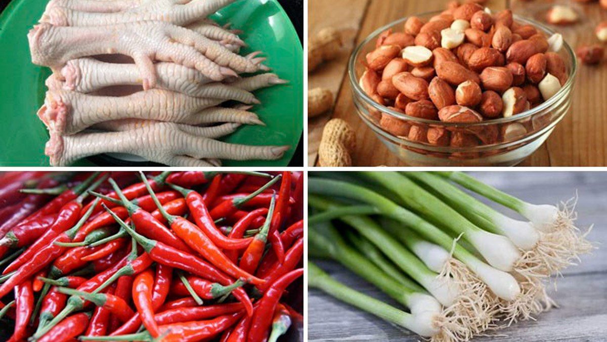 Ingredients for stewed chicken feet with Chinese herbs and peanuts