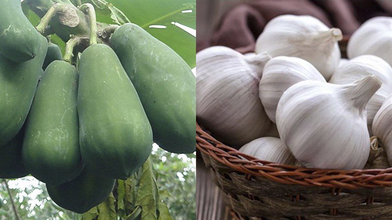 Ingredients for the dish 2 methods of making garlic stir-fried papaya