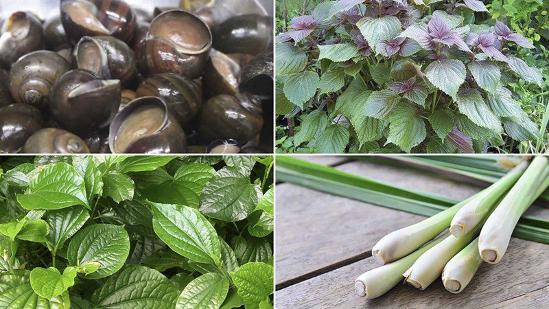 Ingredients for spicy snail soup