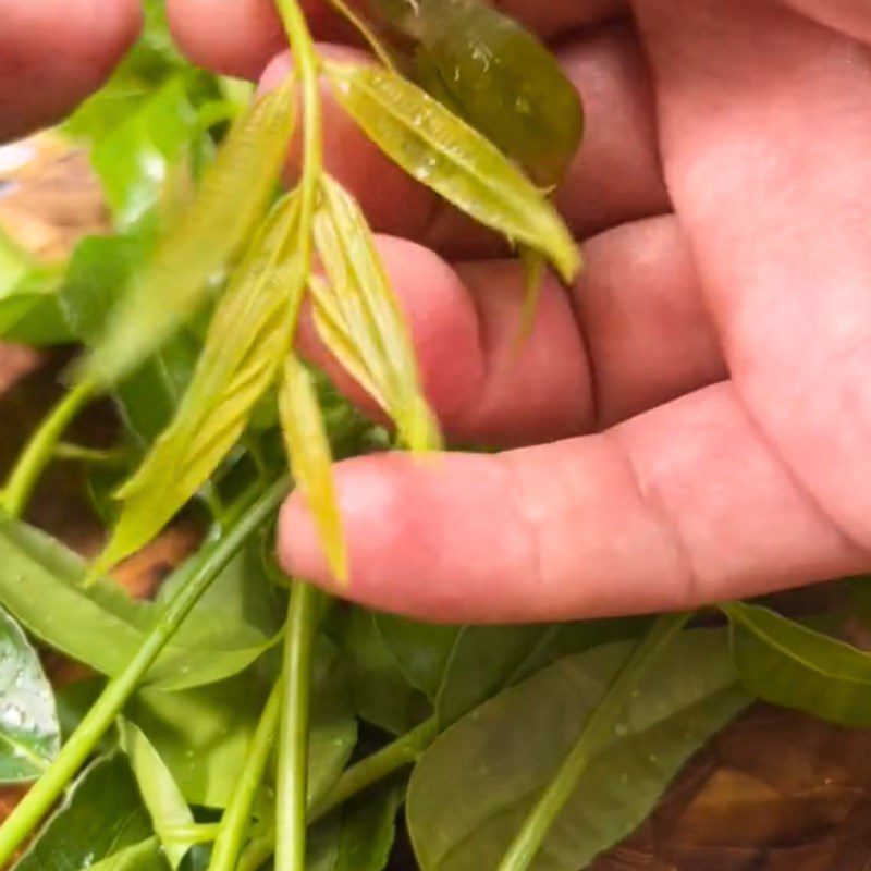 Step 1 Prepare the ingredients for Young Green Mango Salad with Dried Beef (Recipe shared from Tiktok Cooking with TasteVN)