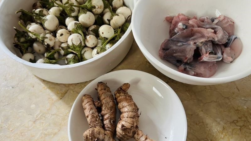 Ingredients for frog stew with eggplant