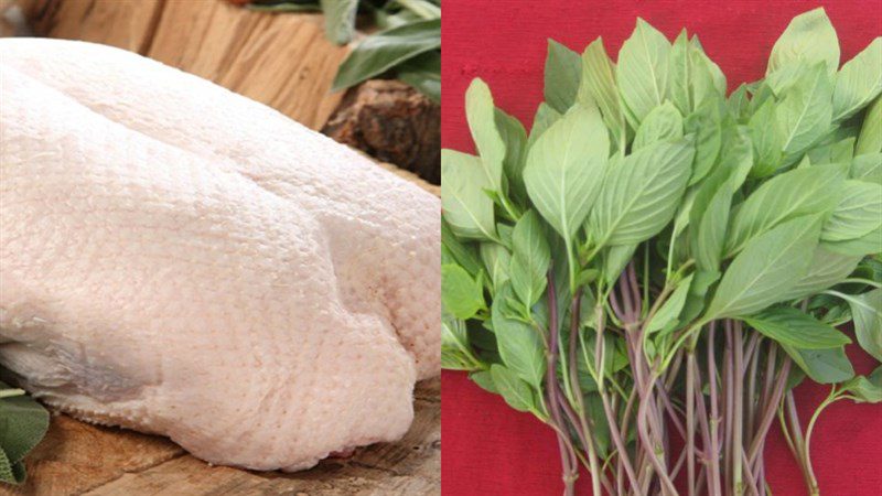 Ingredients for stir-fried duck with basil, stir-fried duck with rice paddy herb