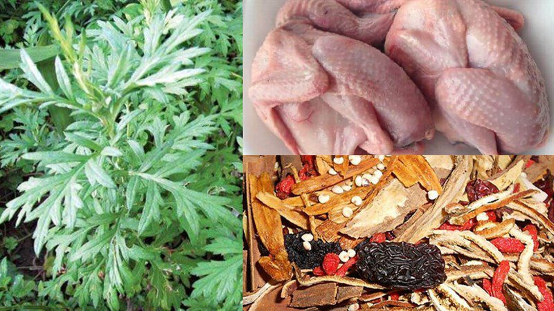 Ingredients for pigeon stew with herbal medicine