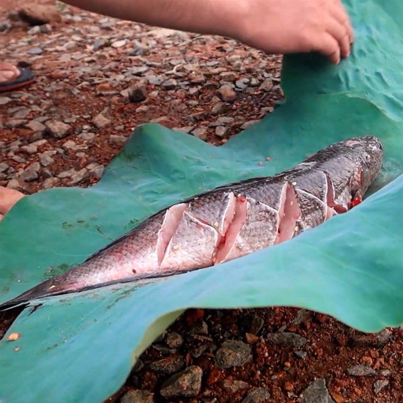 Step 2 Wrapping fish Grilled snakehead fish with lotus leaves