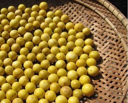 Step 3 Dry and arrange lemons in jars Salted lemons