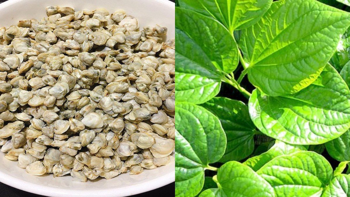 Ingredients for stir-fried clams with betel leaves