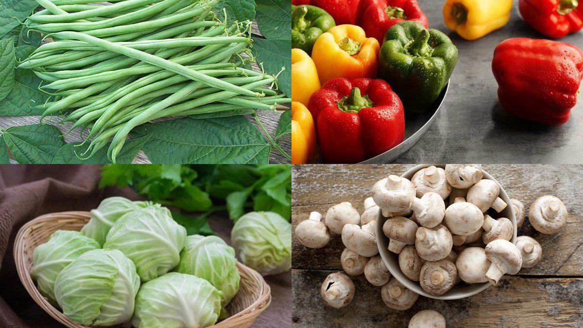 Ingredients for traditional hot and sour soup, beef hot and sour soup, vegetable hot and sour soup