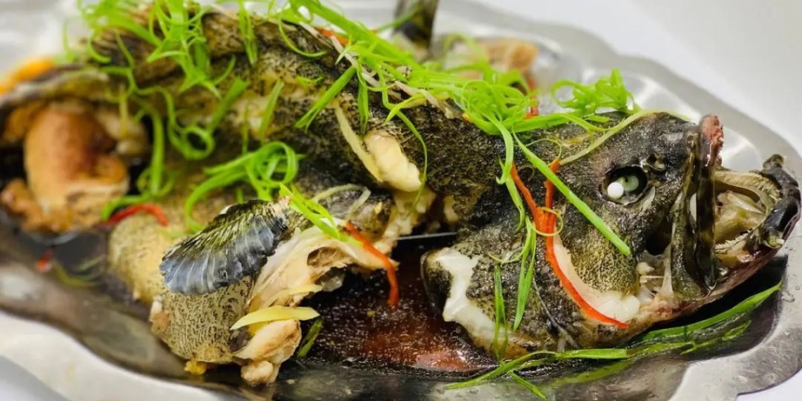 how to cook steamed mackerel with coconut delicious southern style in electric steamer 22312