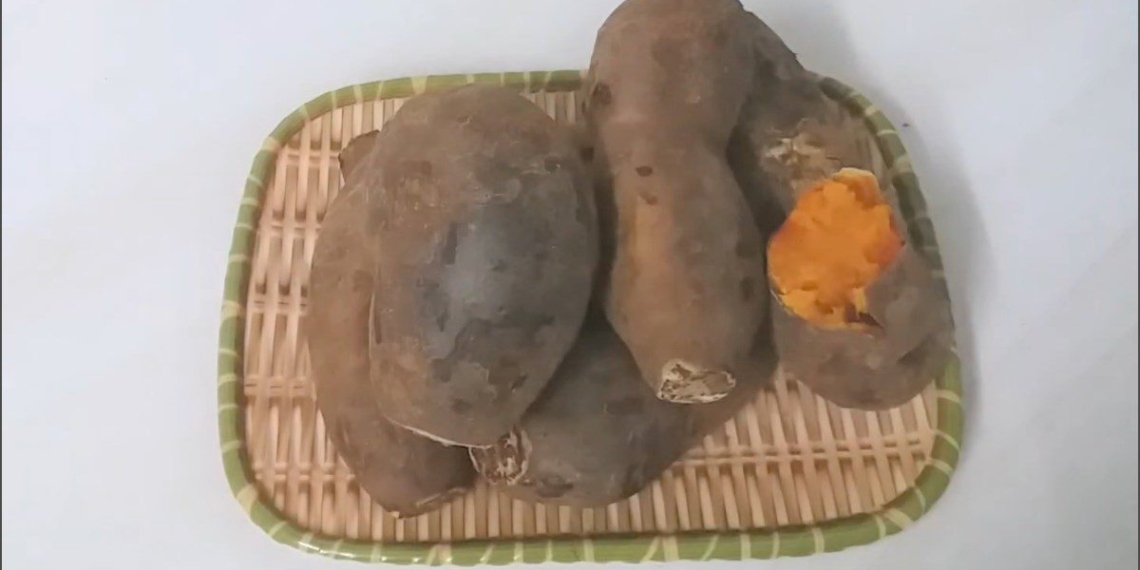 how to grill sweet potatoes with a delicious and attractive oven recipe 14477