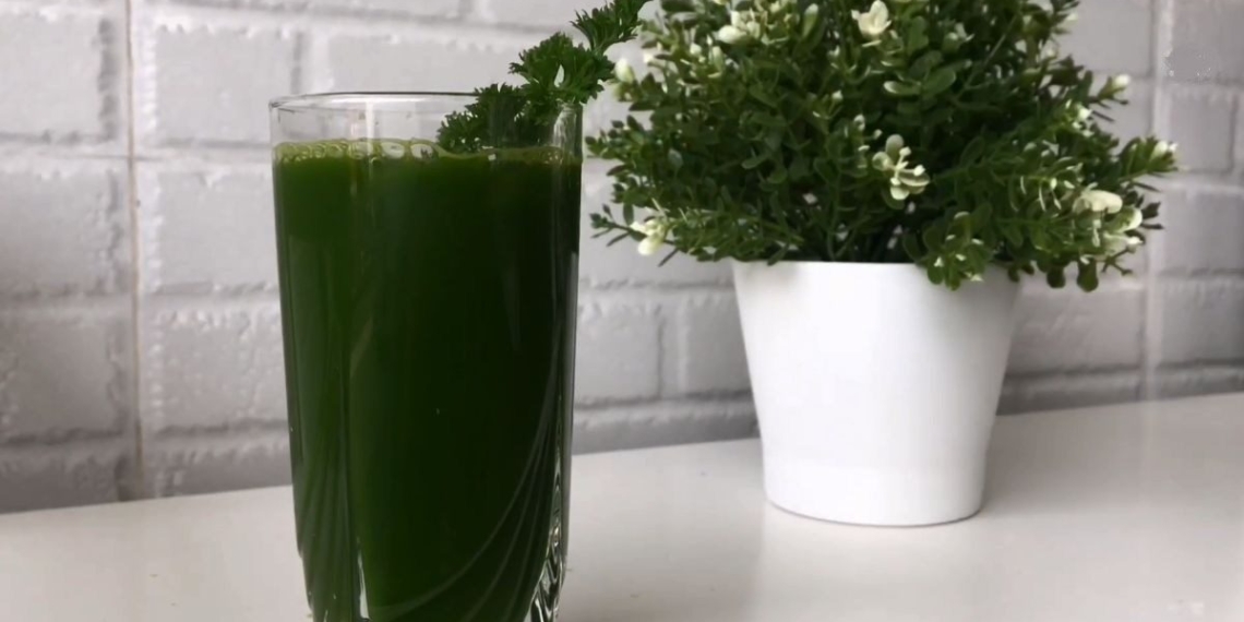 how to make cilantro juice support weight loss body detox 12264