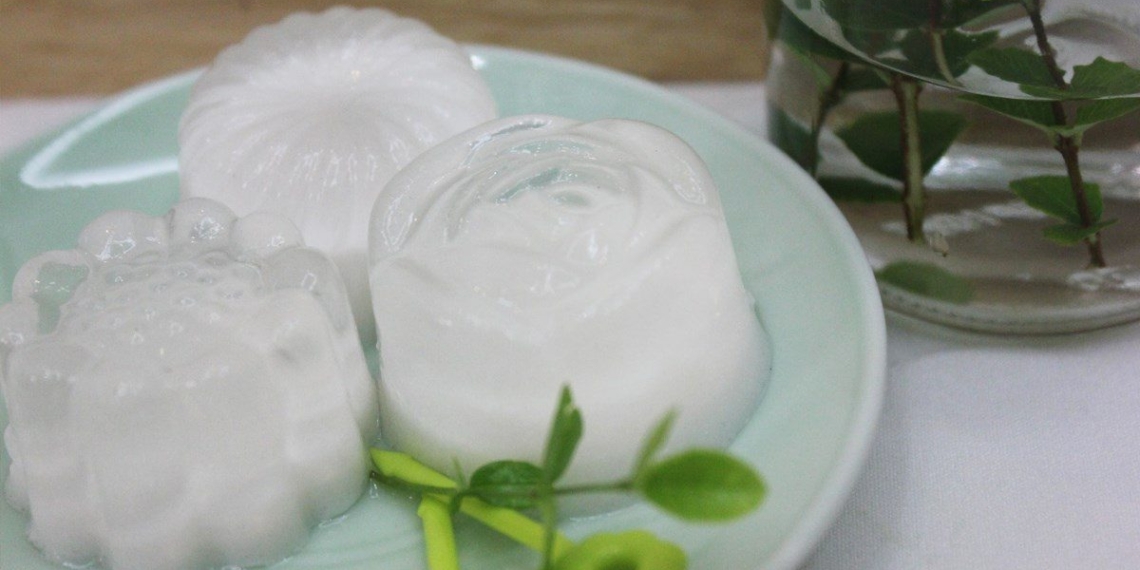 how to make coconut jelly very easy 00565