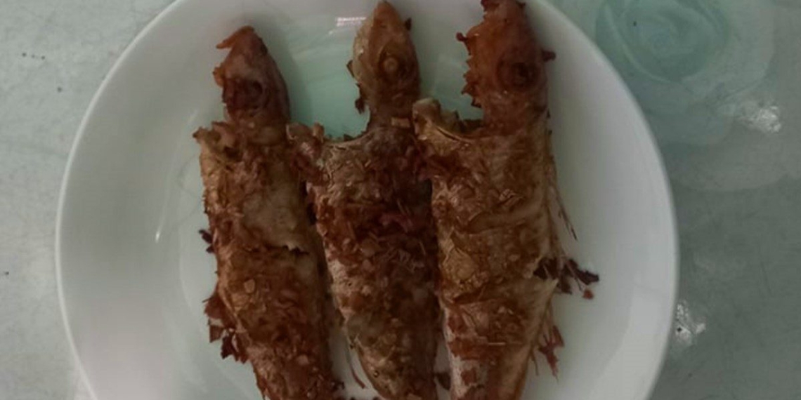 how to make fried tilapia crispy delicious simple for family 12169