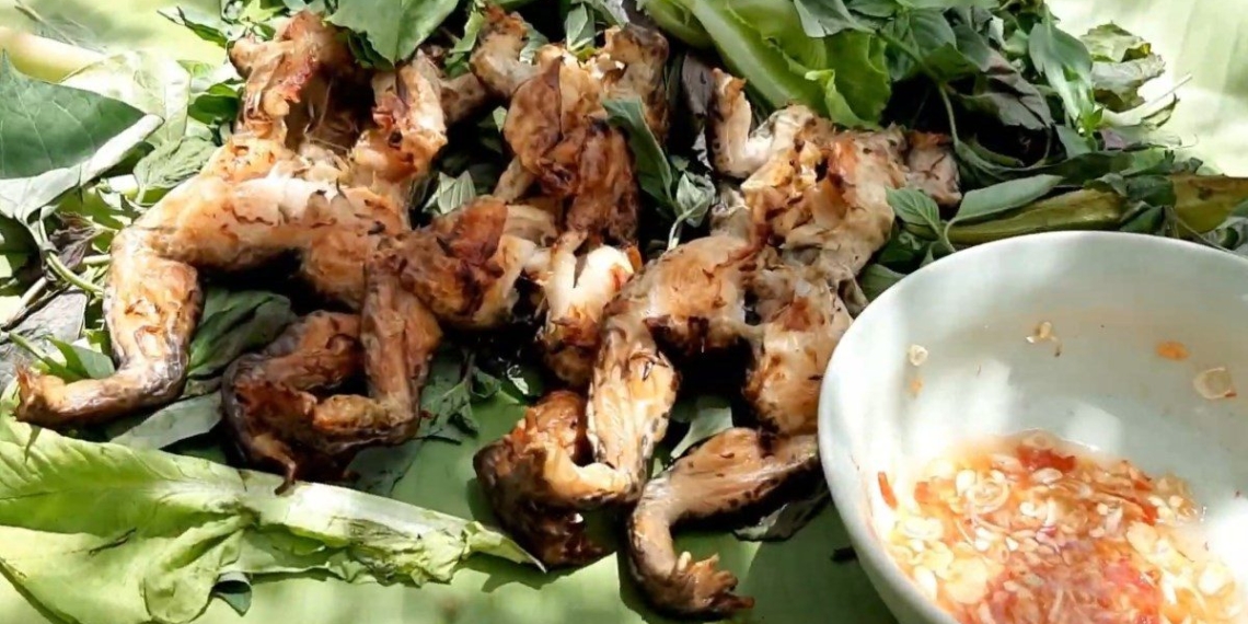 how to make grilled frog with delicious rice porridge rich flavor easy to make 12872