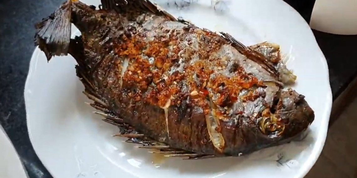 how to make grilled salted fish with pepper delicious appetizing 06606