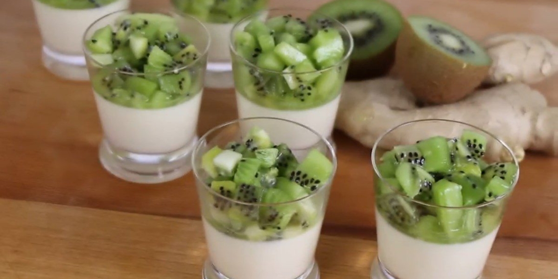 how to make kiwi panna cotta soft creamy very easy 14985