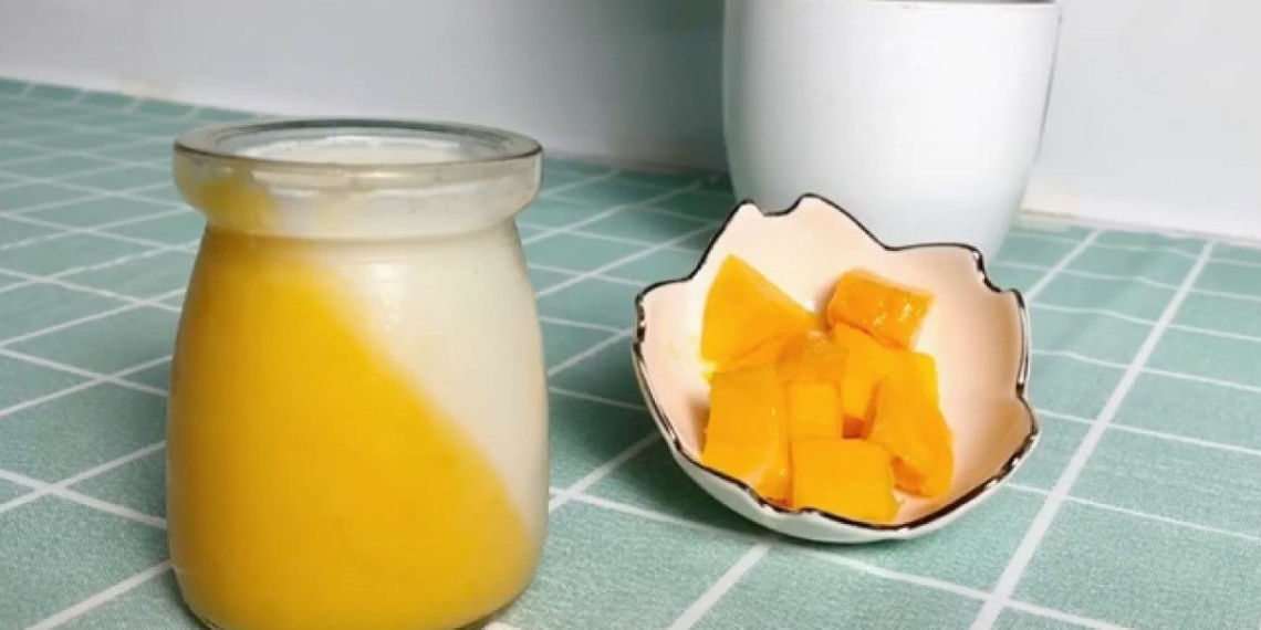 how to make mango pudding for kids delicious nutritious 07510