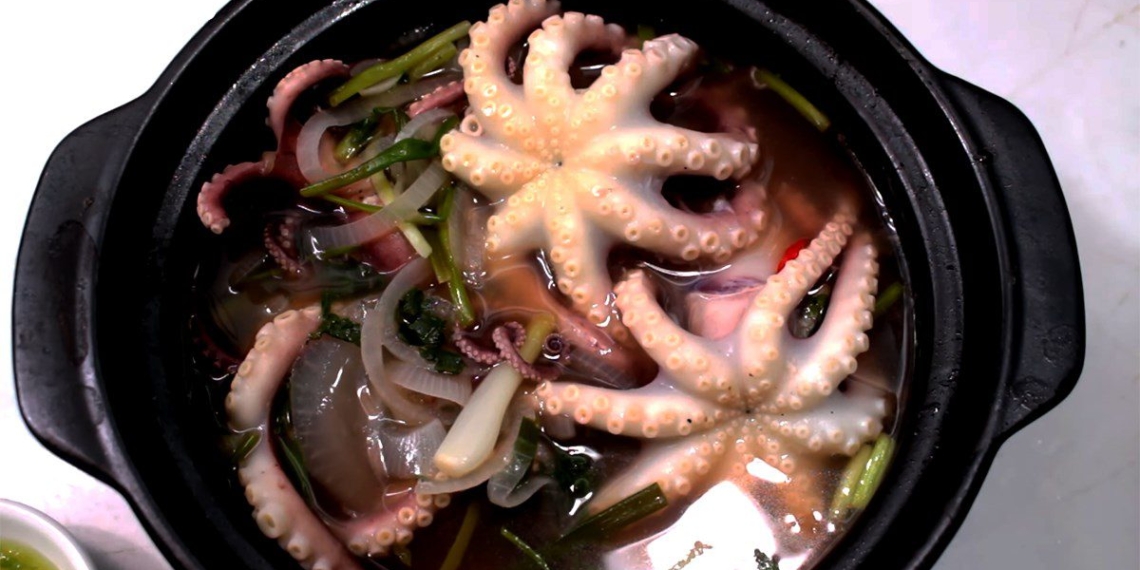 how to make octopus but keep it delicious and appealing 09381