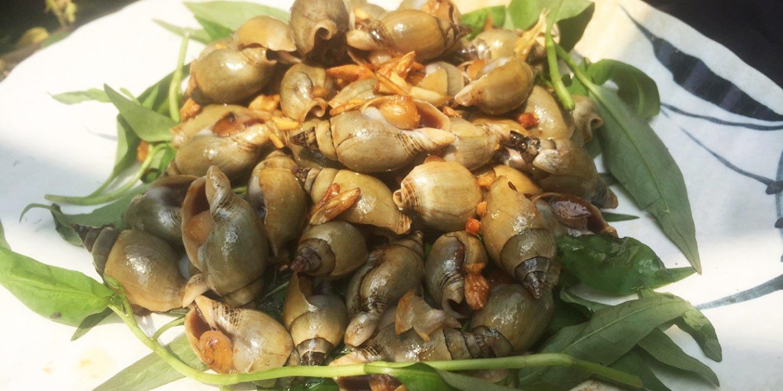 how to make snails in coconut milk delicious and easy 17159