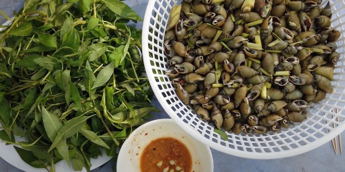 how to make snails steamed with fragrant sauce delicious easy to make 07739