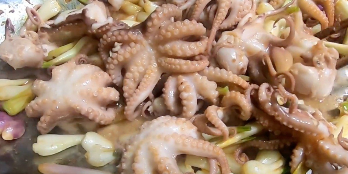 how to make stir fried octopus with crispy vegetables delicious and appetizing 11927