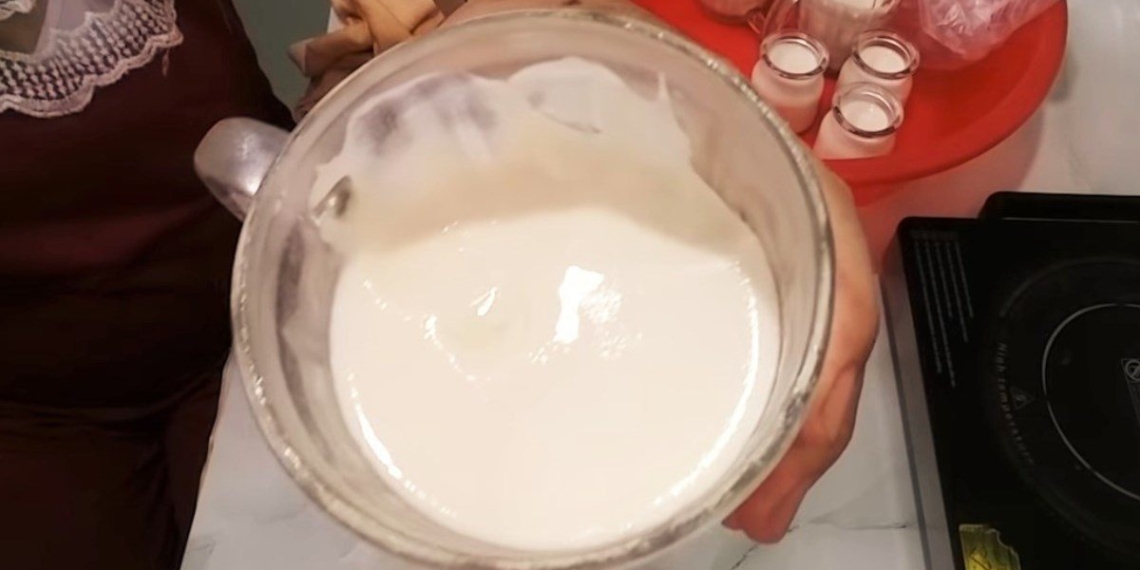 how to make yogurt from fresh milk delicious and extremely simple 13851