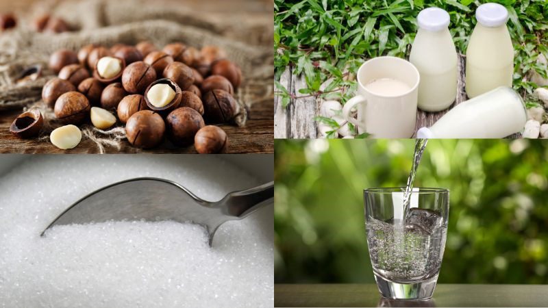 Ingredients for making macadamia nut milk using a machine