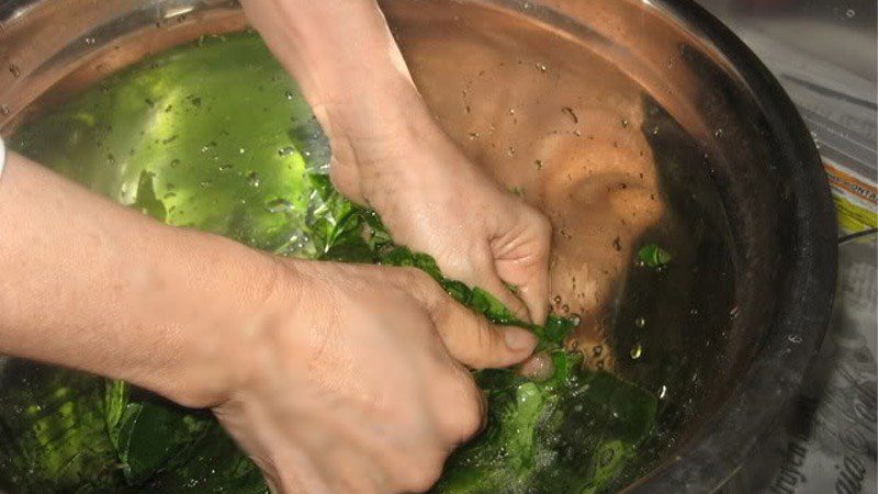 How to knead sương sâm leaves without bubbles