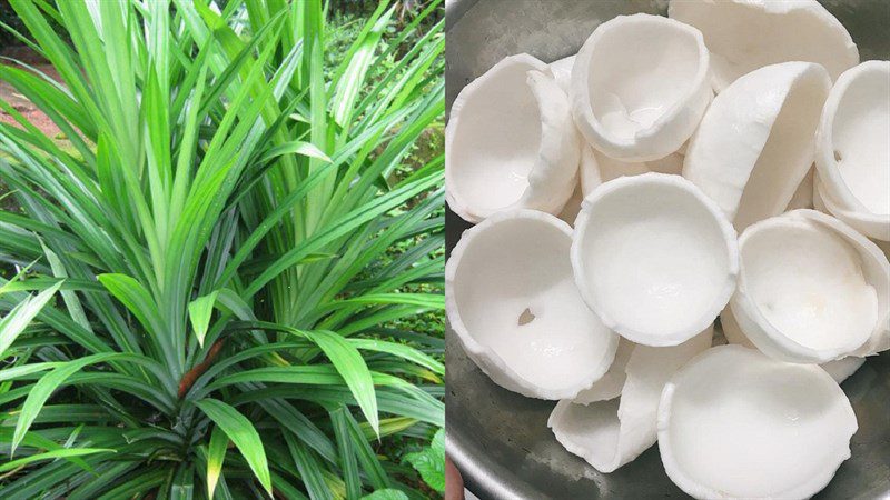 Ingredients for coconut jam using an air fryer