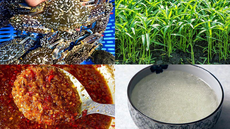 Ingredients for crab hot pot with water spinach