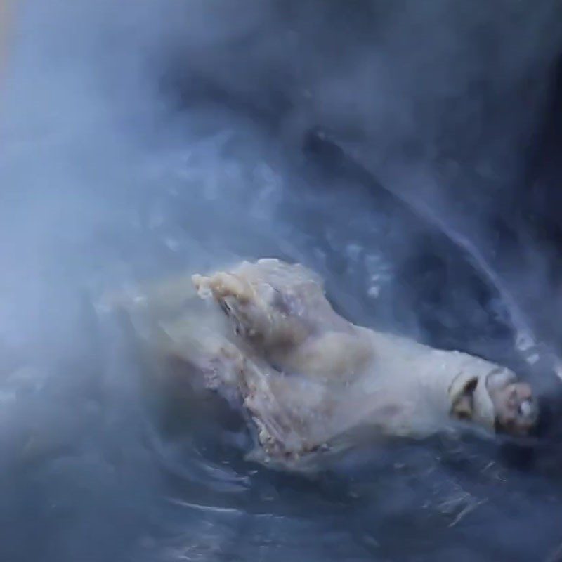 Step 2 Boil the pigeon for Steamed Pigeon with Coconut Water