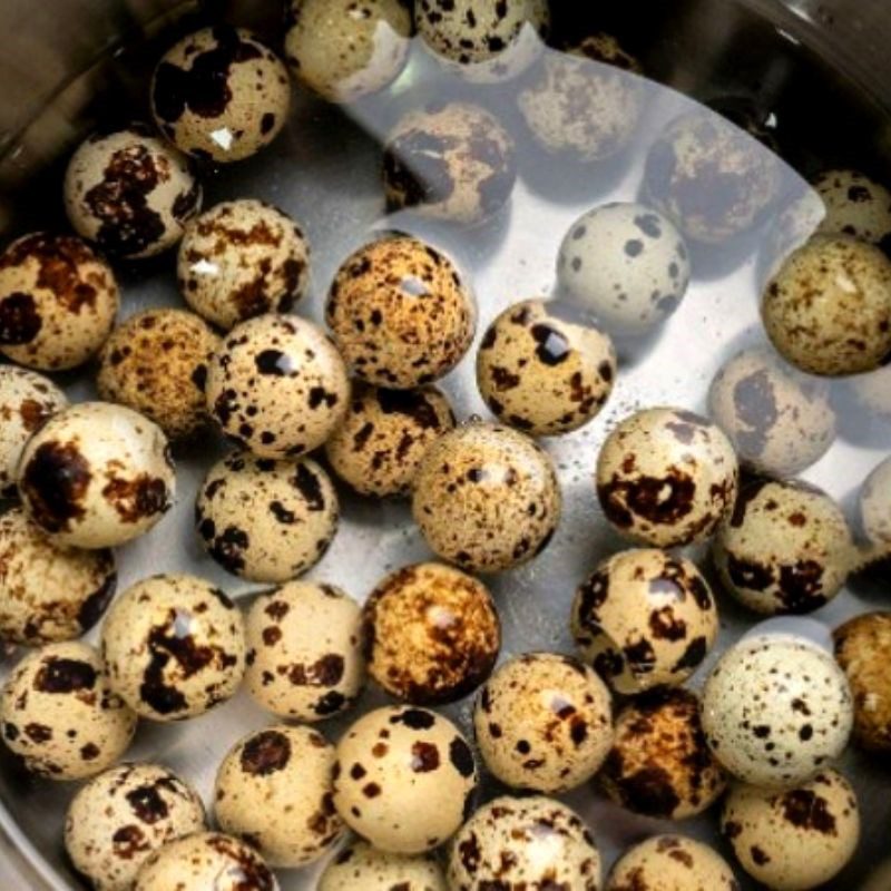 Step 2 Boil and cut the eggs for Fried Dumplings with Meat and Egg Filling